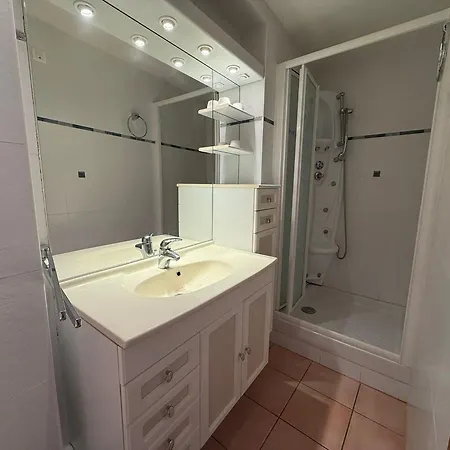 Banyuls-sur-mer, De Type T3 à 50 M De La Plage, Climatisé, Vue - Fr-1-309-9