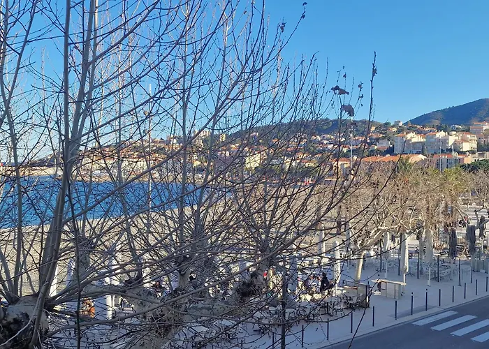 T3 A 50m De La Plage, Climatise, - Fr-1-309-9 * Banyuls-sur-Mer