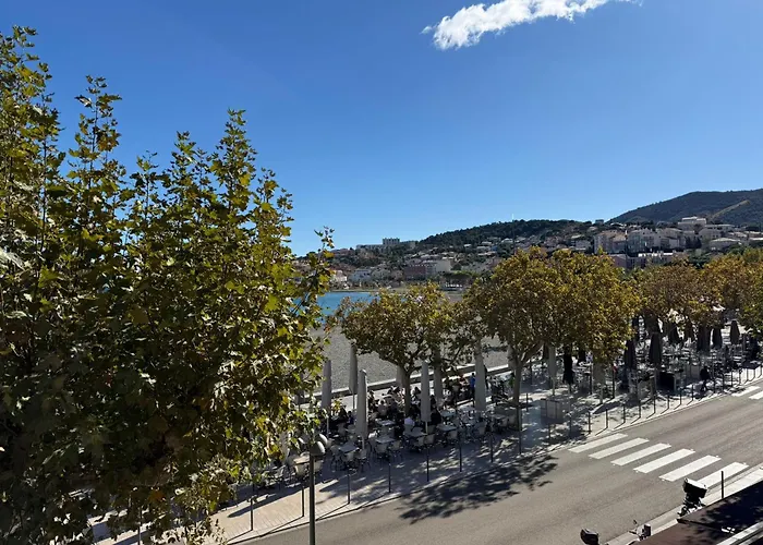 T3 A 50m De La Plage, Climatise, - Fr-1-309-9 * Banyuls-sur-Mer